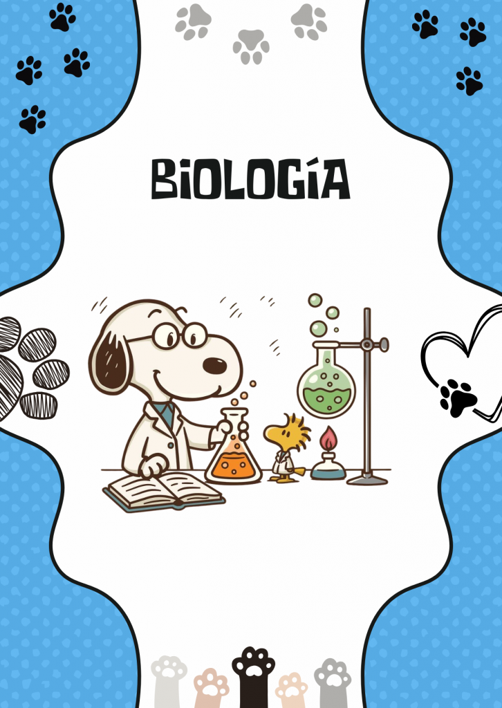 Portadas de Snoopy