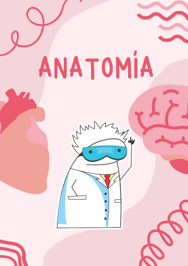 Portada de Anatomía con Flork