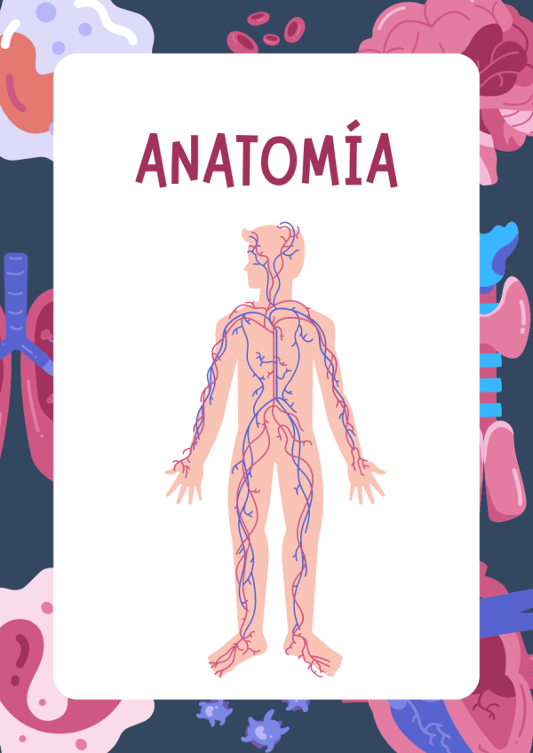 Portadas de Anatomia