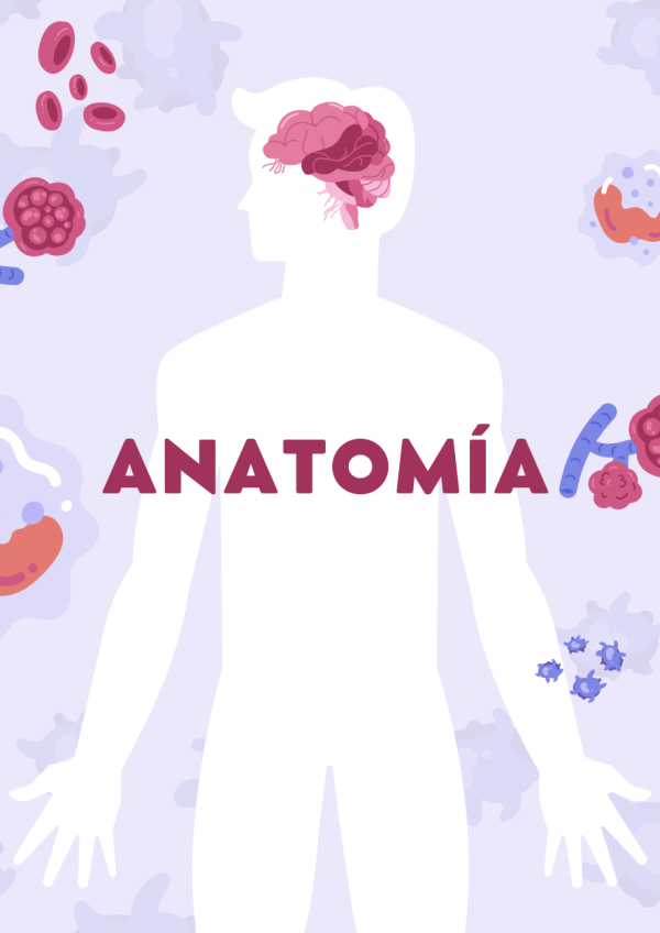 Portadas de Anatomia