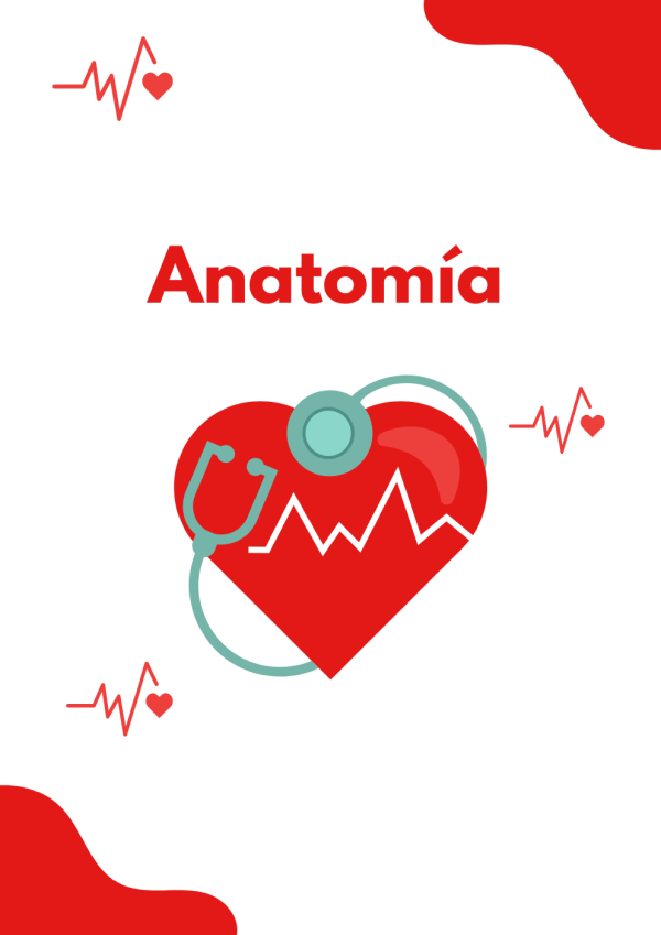 Portadas de Anatomia