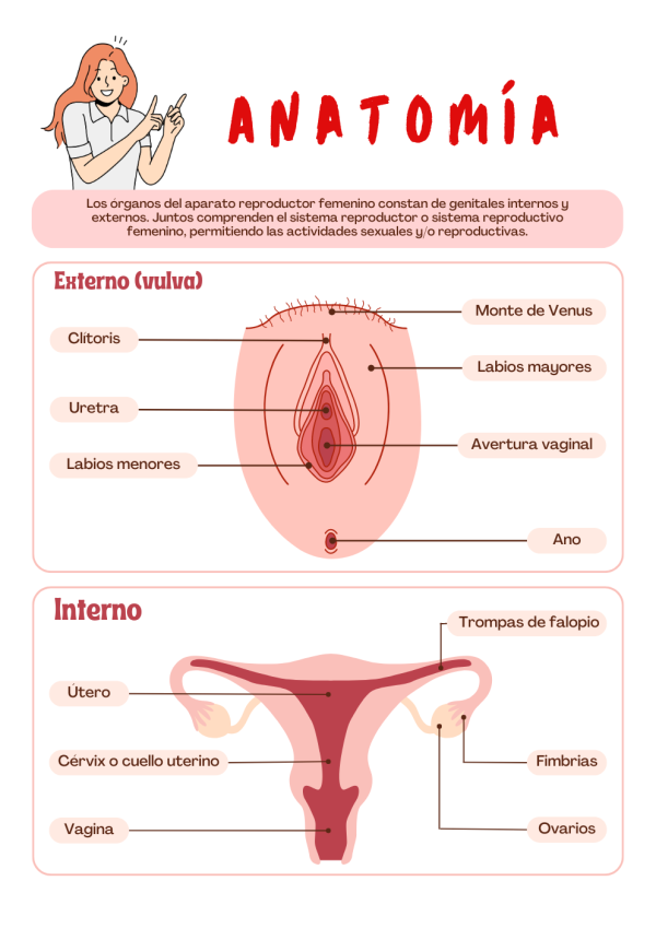 Portadas de Anatomia