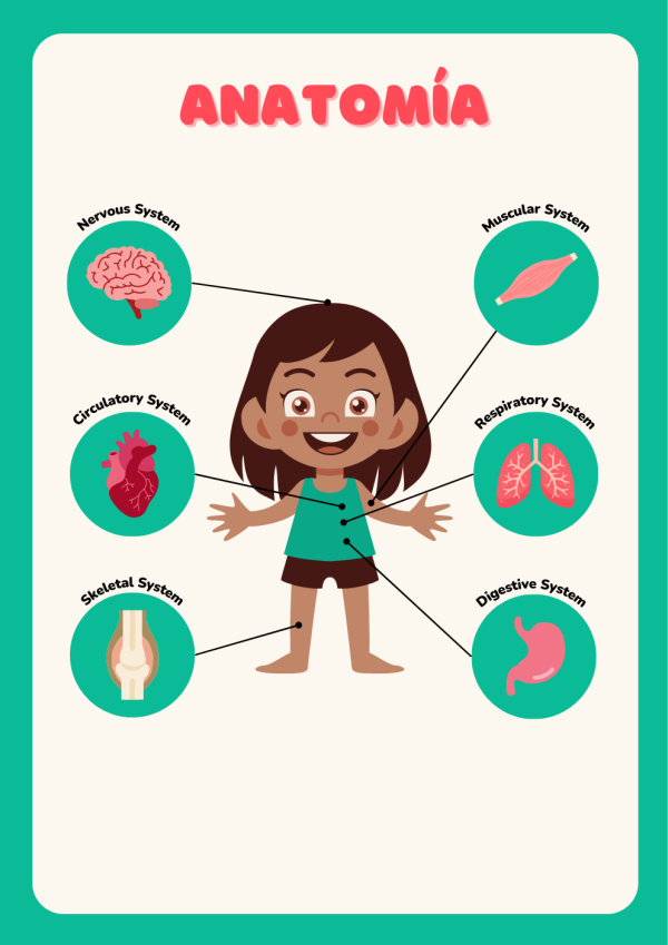 Portadas de Anatomia