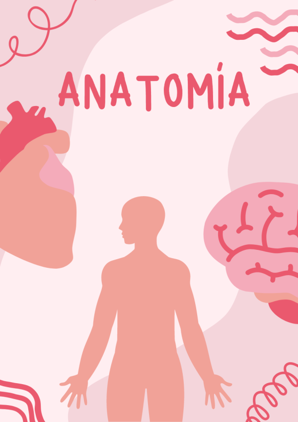 Portadas de Anatomia