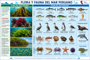 Flora y Fauna del Mar Peruano: Lámina Educativa para Imprimir