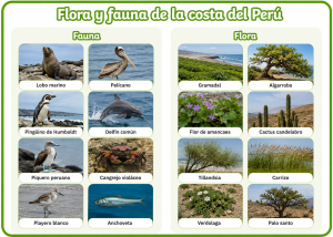 Flora y fauna de la Costa del Perú