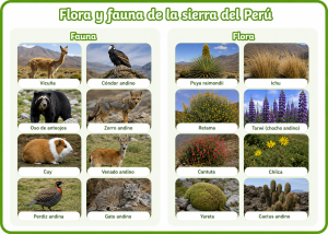 Flora y fauna de la sierra del Perú