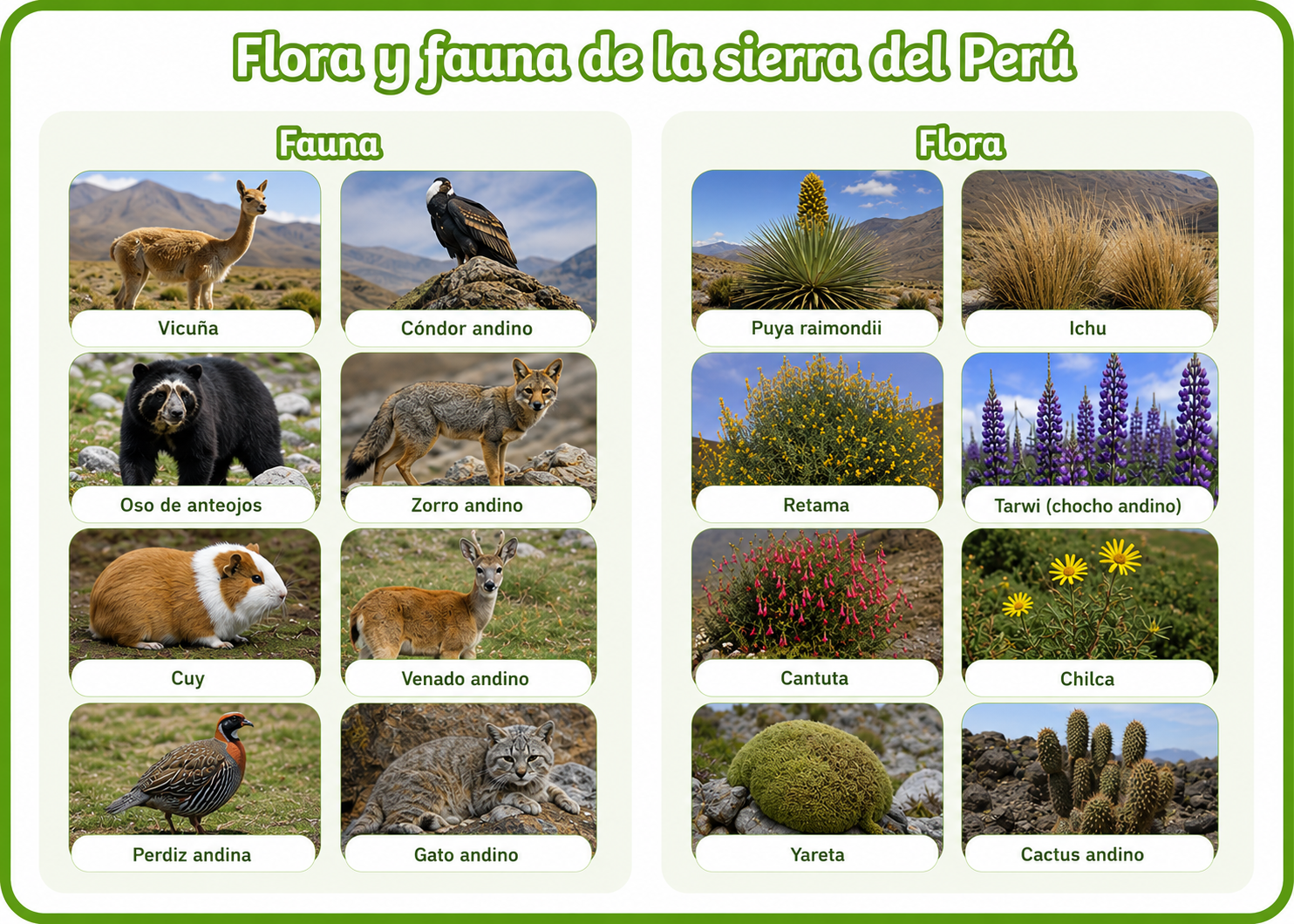Flora y fauna de la sierra del Perú