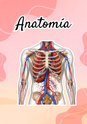 Portada de Anatomía para cuaderno decorativa y bonita - tendencia educativa 2026