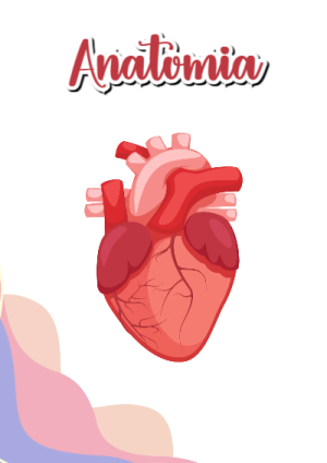 Portada de Anatomía para cuaderno en formato A4 - tendencia educativa 2026