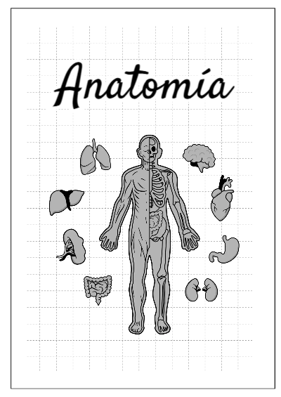 Portada de Anatomía Editable para Imprimir Gratis
