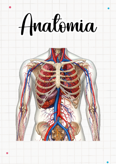 Portada de Anatomía Editable para Imprimir Gratis