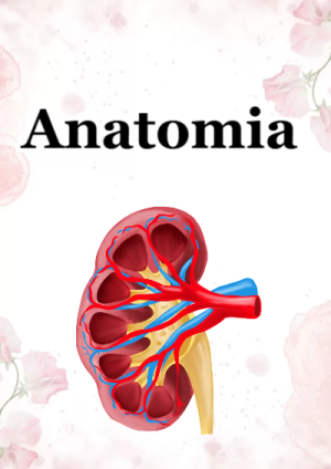 Portada de anatomia para cuaderno para clases - para todas las edades y grados