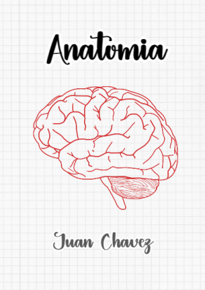 Portada de Anatomía para cuaderno escolar creativa - con colores vivos y llamativos