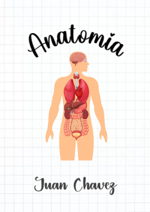 Portada de Anatomía para cuaderno colorida y creativa - estilo único para estudiantes