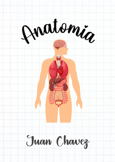 Portada de Anatomía Editable para Imprimir Gratis