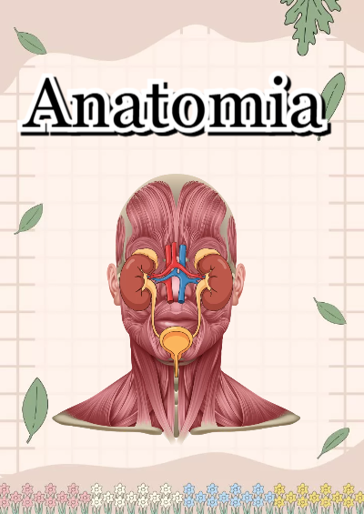 Portada de anatomia Editable para Imprimir Gratis