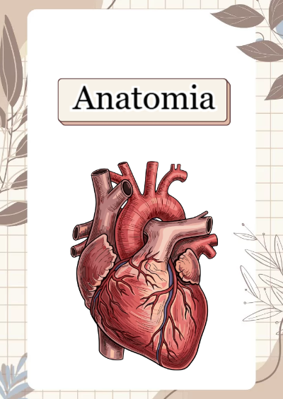 Portada de anatomia Editable para Imprimir Gratis