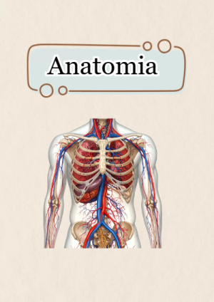 Portada de anatomia para cuaderno para primaria - ideal para cuadernos de espiral