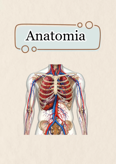 Portada de anatomia Editable para Imprimir Gratis