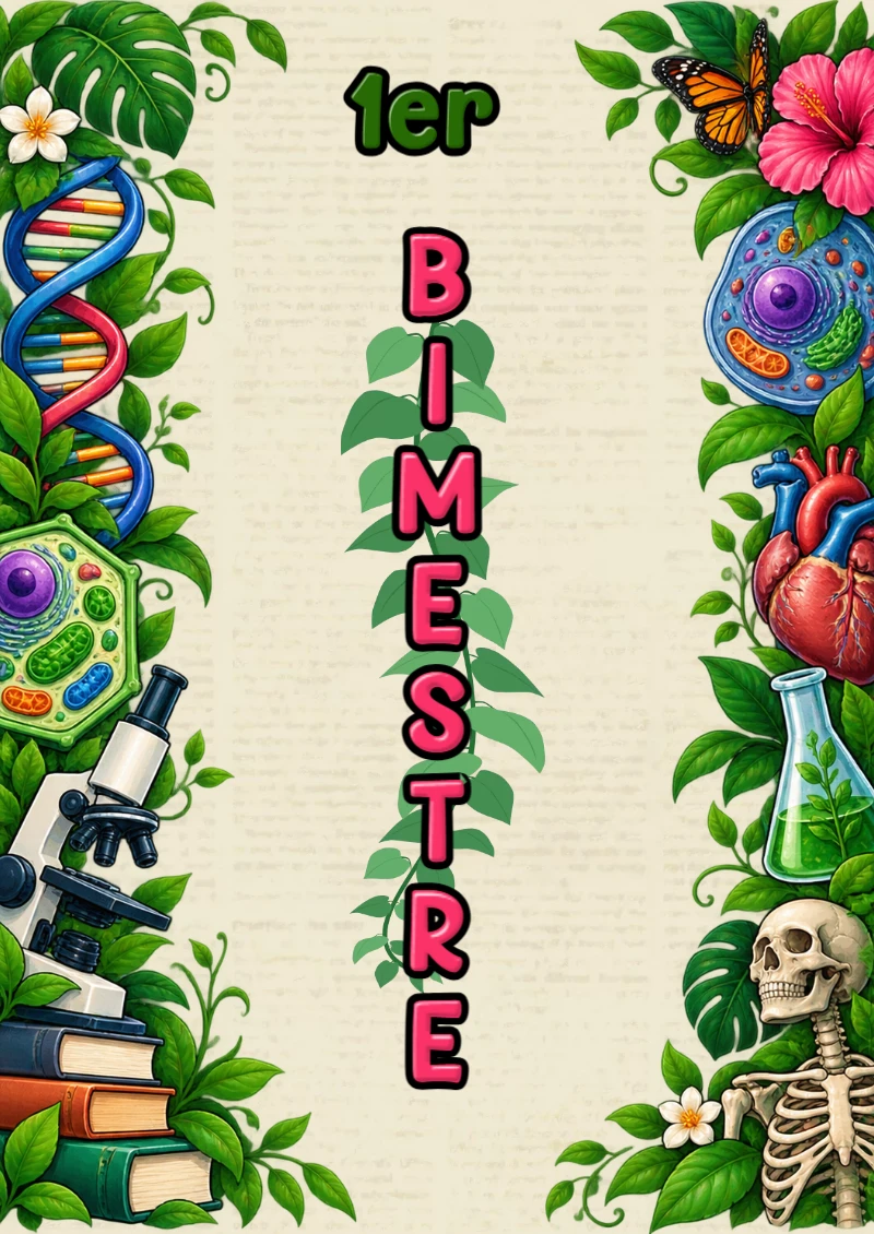 Portada de Primer Bimestre para cuaderno colorida y creativa - con colores vivos y llamativos