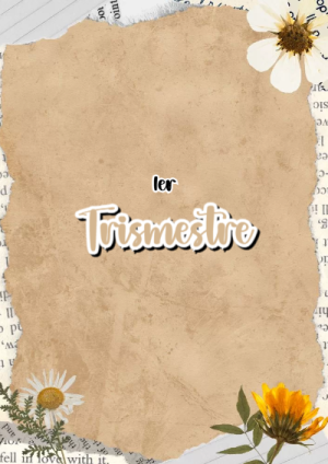 Portada de Primer Trimestre de 1er segundo bimestre para cuaderno bonita para imprimir - diseño exclusivo y original