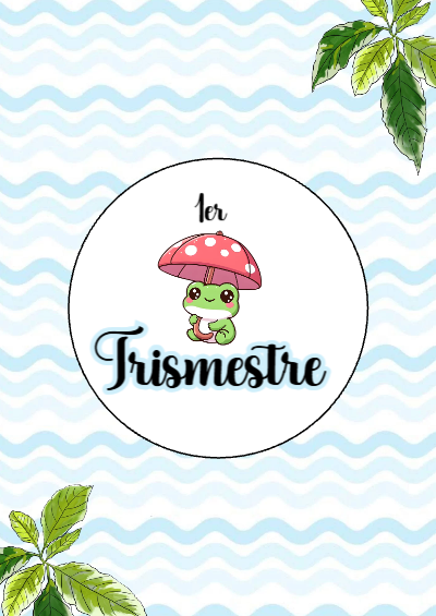 Portada de Primer Trimestre de 2DO SEGUNDO BIMESTRE Editable para Imprimir Gratis