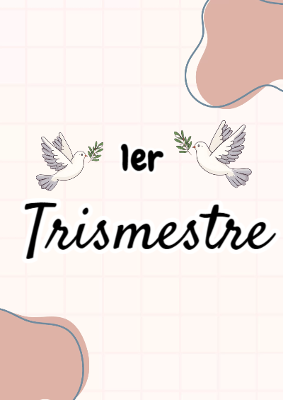 Portada de Primer Trimestre de 2DO segundo bimestre Editable para Imprimir Gratis