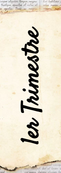 Portada de Primer Trimestre de Primer Trimestre de Primer Trimestre de 1er Trimestre Editable para Imprimir Gratis