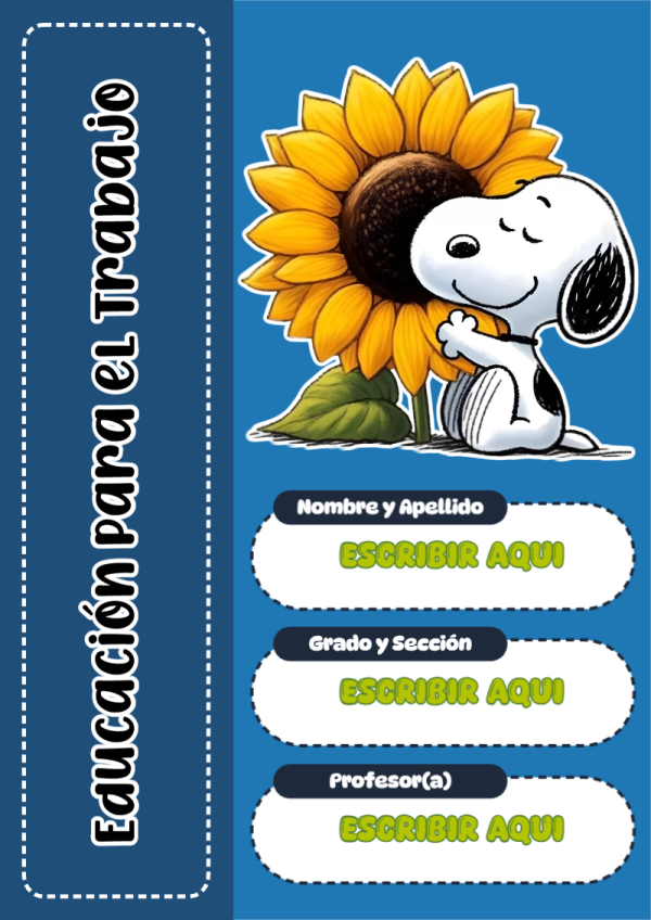 Diseño 11