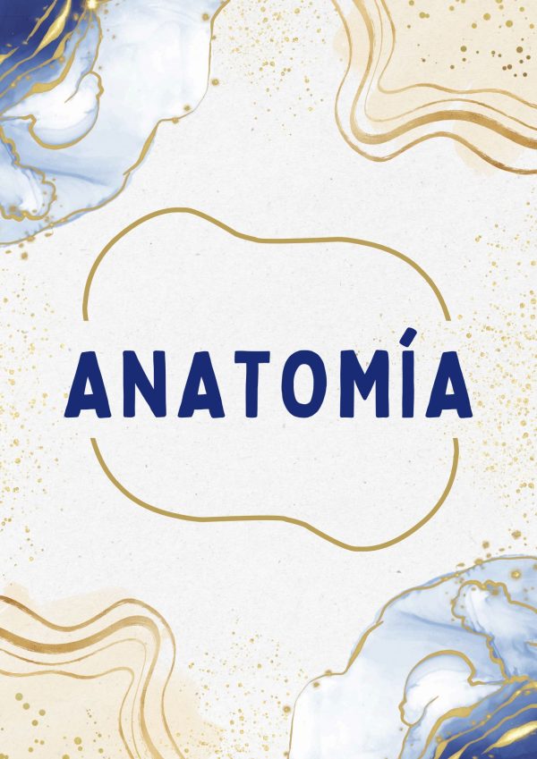 Portadas de Anatomía