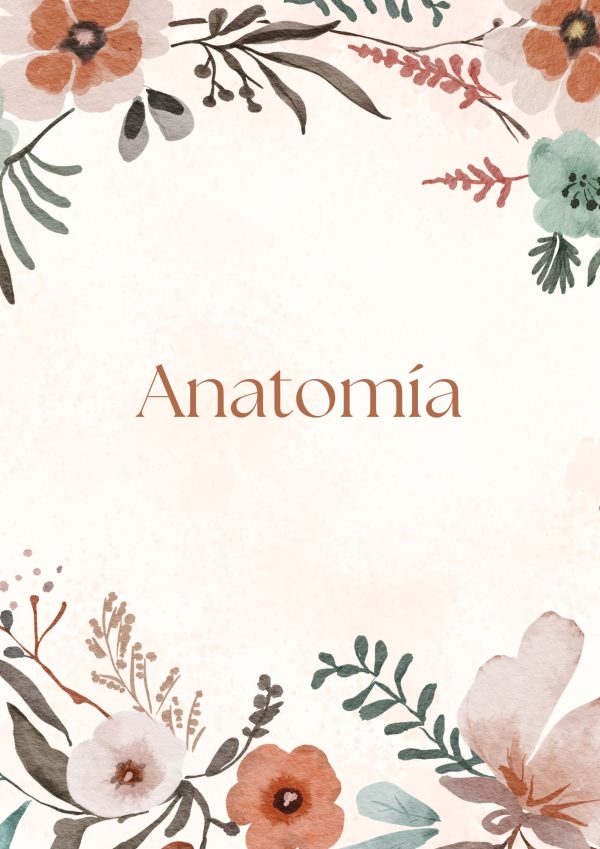 Portadas de Anatomía