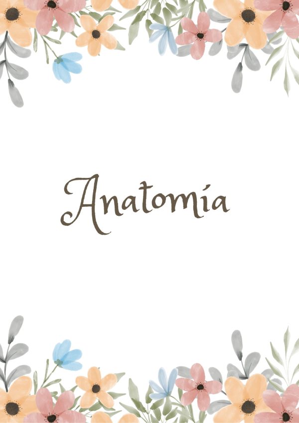 Portadas de Anatomía