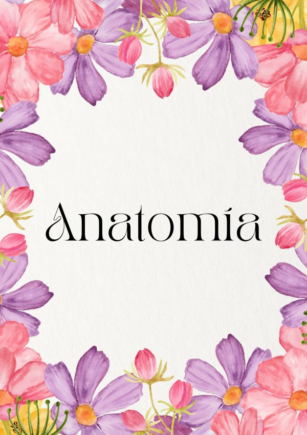 Portadas de Anatomía