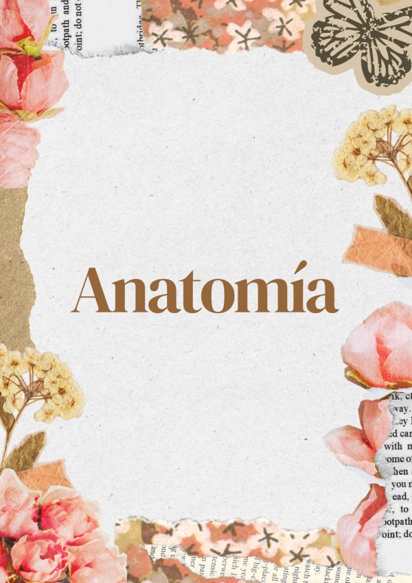 Portadas de Anatomía