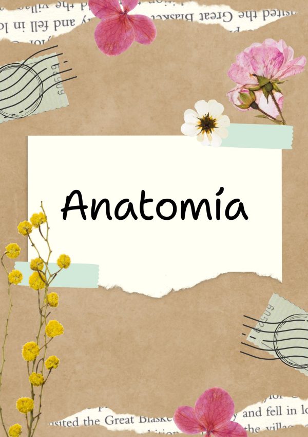 Portadas de Anatomía