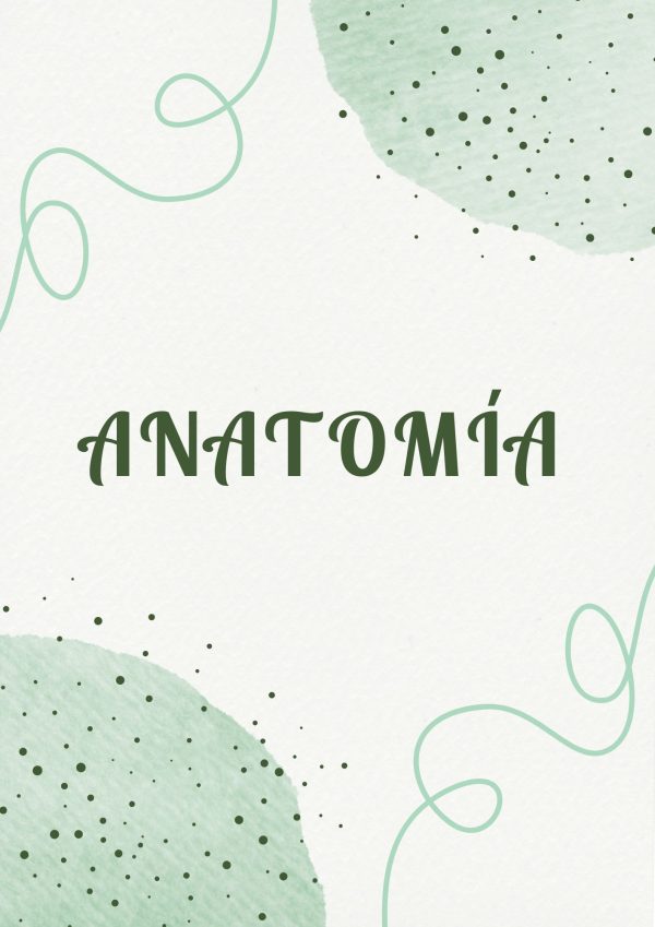 Portadas de Anatomía