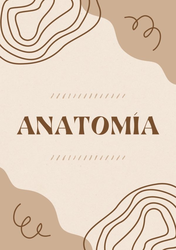 Portadas de Anatomía