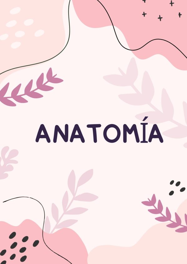 Portadas de Anatomía