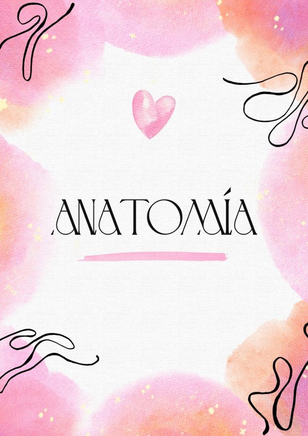 Portadas de Anatomía