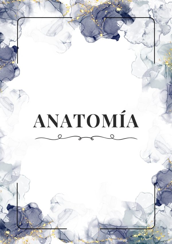 Portadas de Anatomía