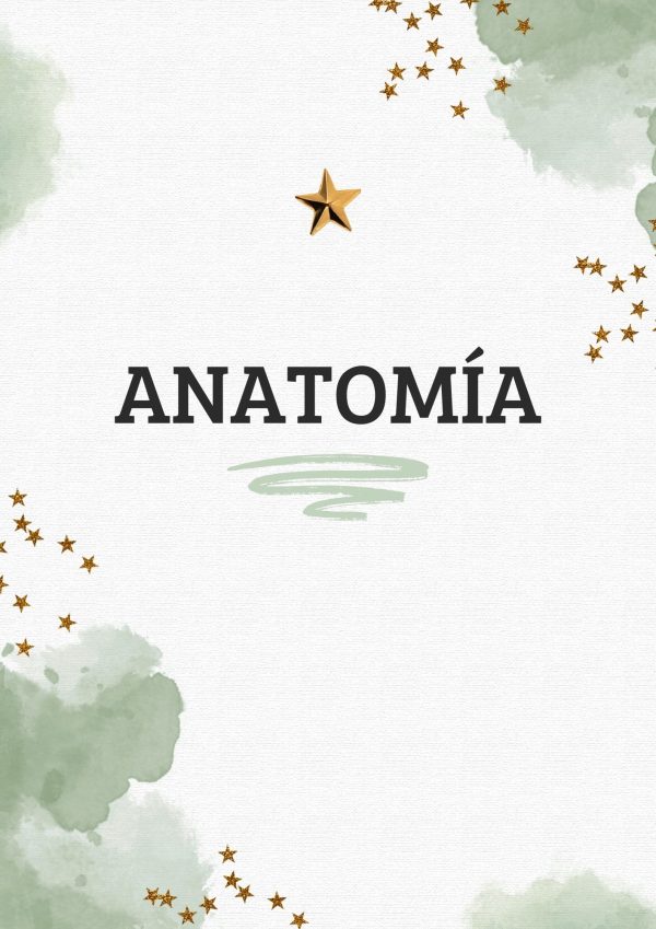 Portadas de Anatomía