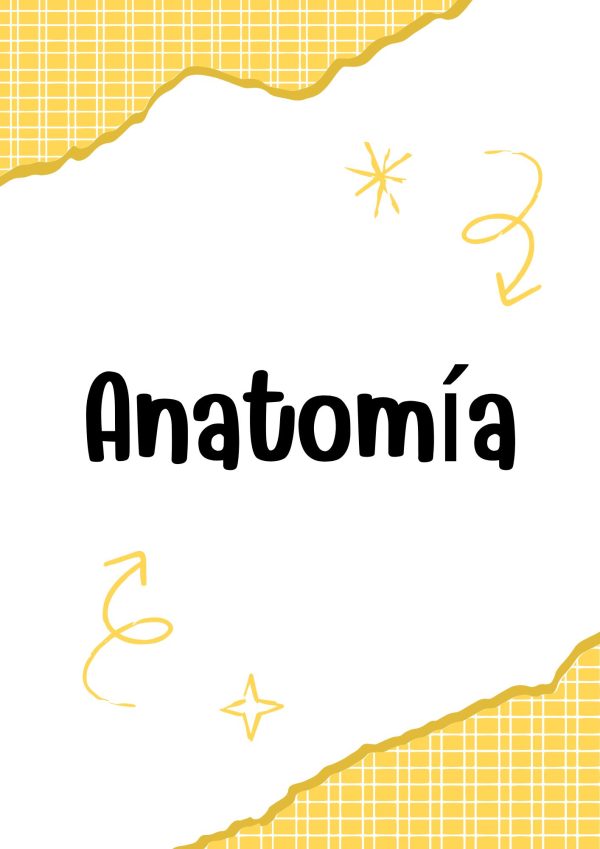 Portadas de Anatomía
