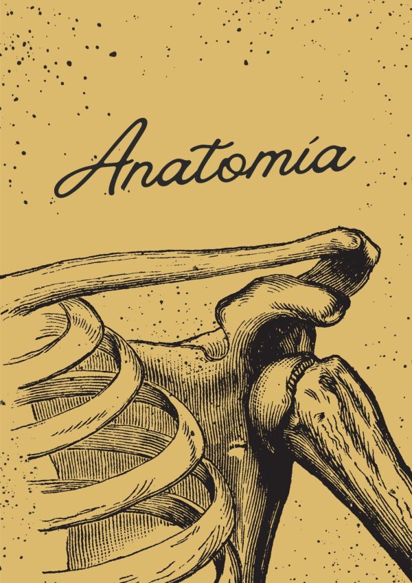 Portadas de Anatomía