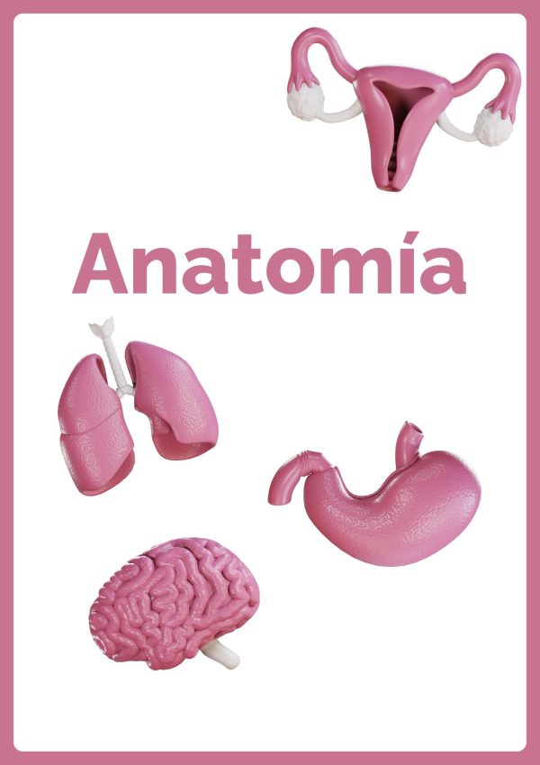 Portadas de Anatomía