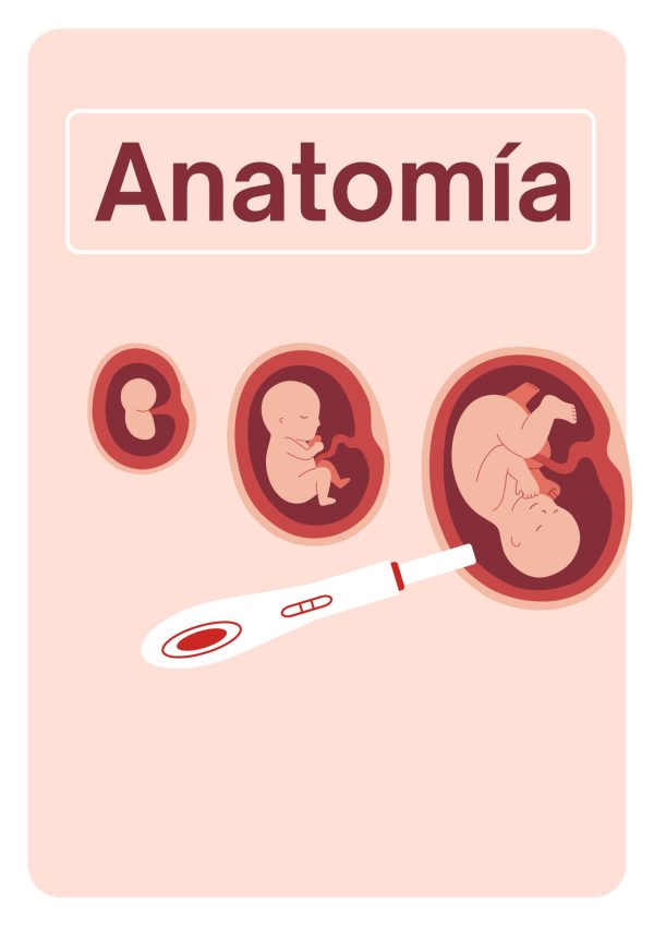 Portadas de Anatomía
