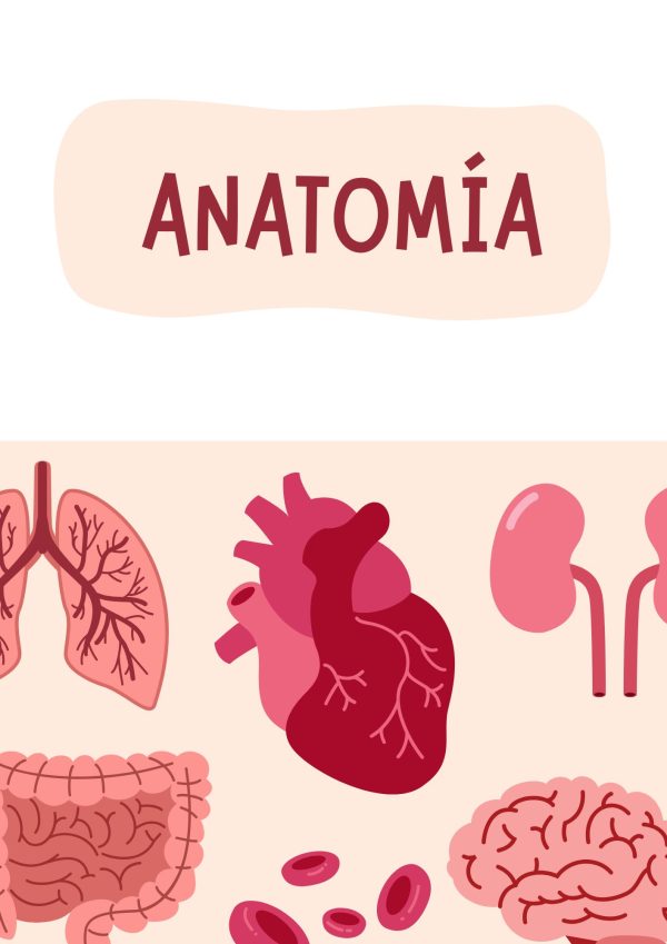 Portadas de Anatomía