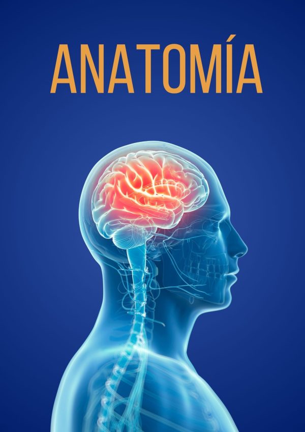 Portadas de Anatomía