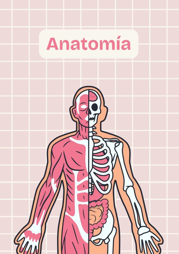 Portadas de Anatomía